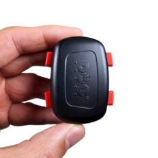 GPS за котка